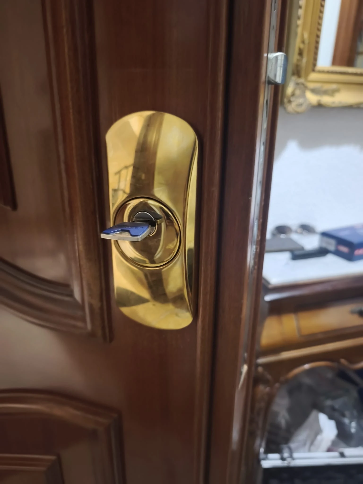 Detalle de un escudo acorazado instalado en una puerta